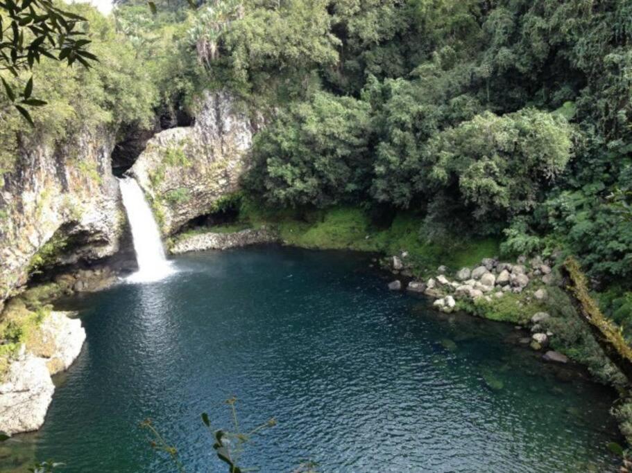 Villa Du Beau Vallon 2 Jacuzzi Privatif Et Piscine Chauffee Partagee Saint-Benoît Eksteriør bilde